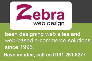 Zebra Web Design